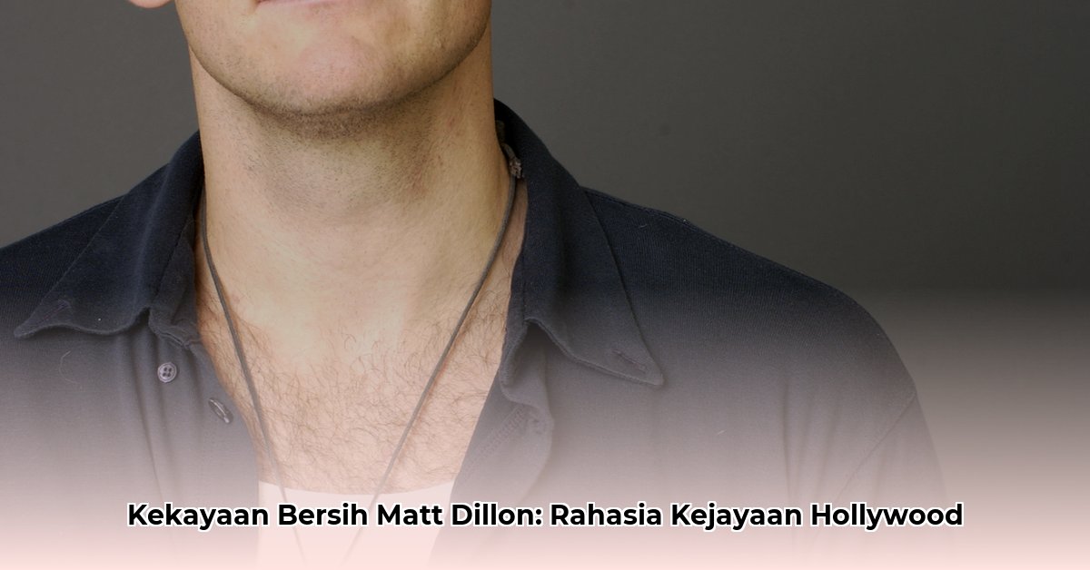 net worth matt dillon